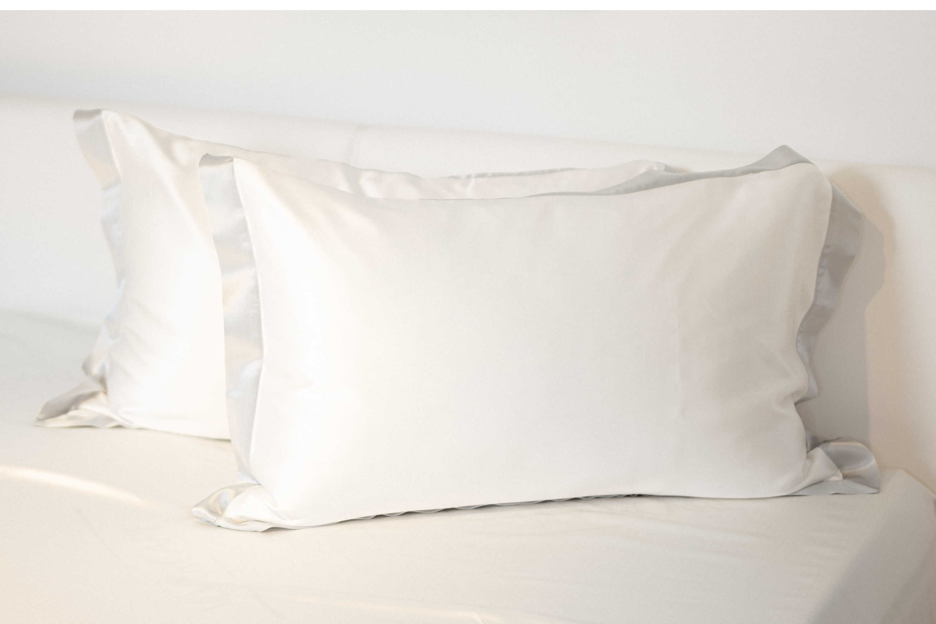 Federa di seta bianco avorio con bordo oxford argento | 50 x 80 cm (1 pz.)