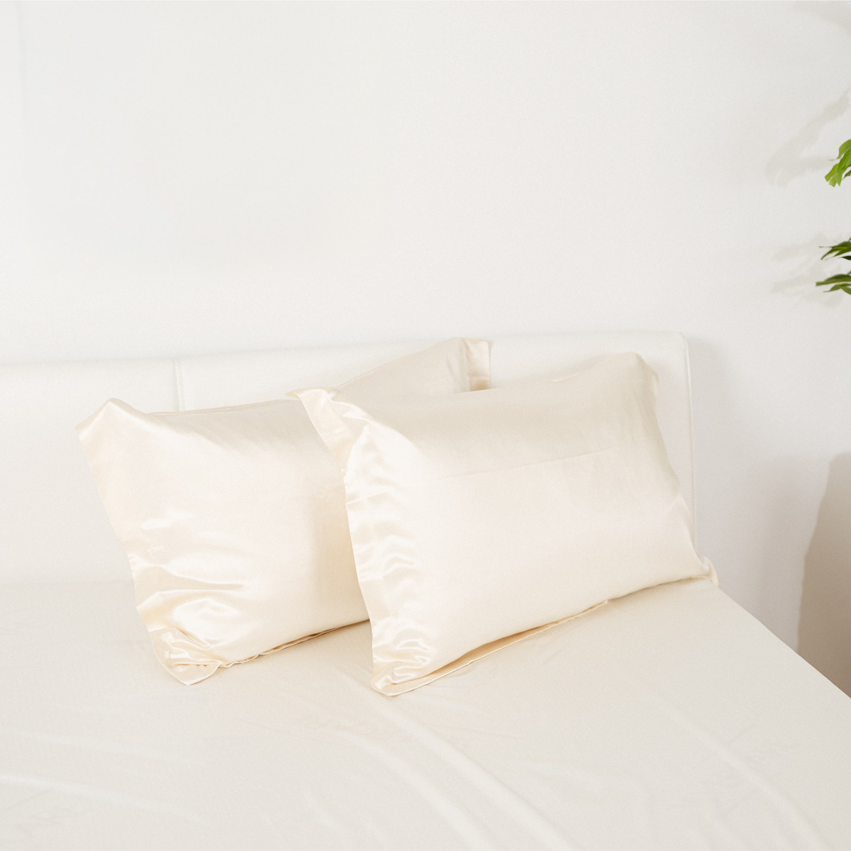 Federa in seta 50×80 in 100% pura seta (22 Momme, Classe 6A) di GN Glowy Nights® – federa di seta dermatologicamente testata, effetto anti-crespo, per capelli morbidi e una pelle luminosa