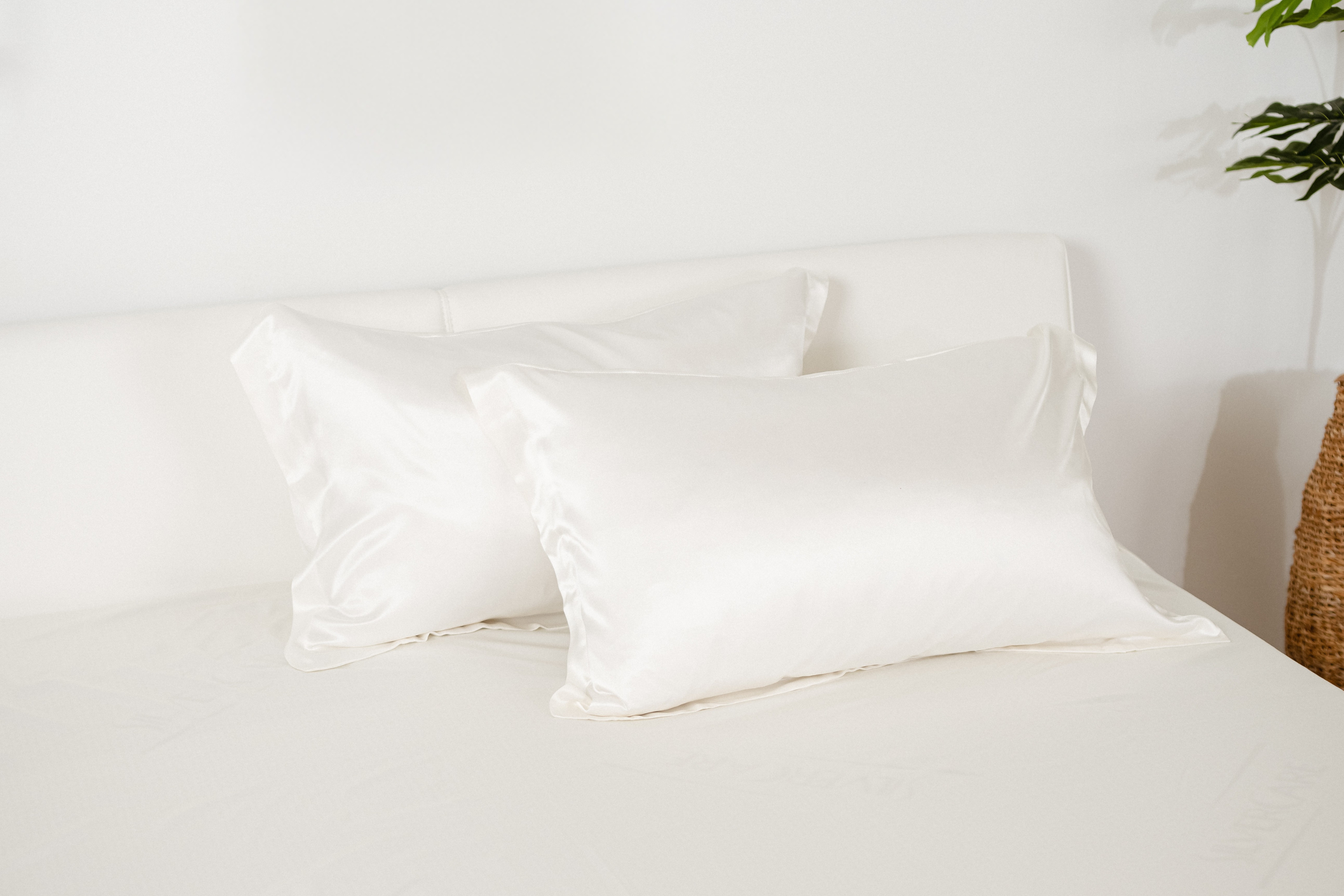 Federa di seta bianco avorio con bordo oxford | 50 x 80 cm (1 pz.)